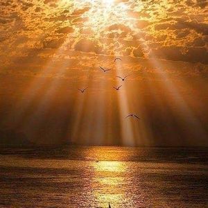 Meet your Posher, Tami